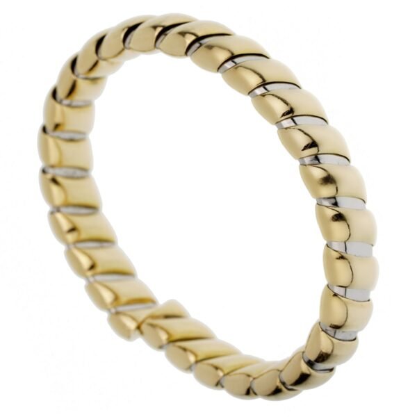 Bvlgari Tubogas Stainless 18k Yell