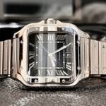 The Cartier Santos